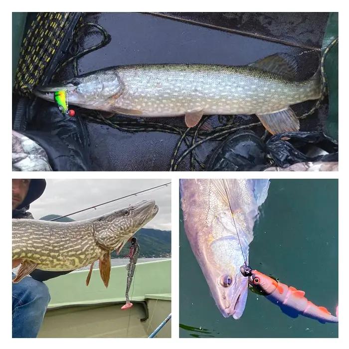 Spinpoler – leurre souple avec queue en T pour la pêche au brochet, système de hameçon avec Swimbait