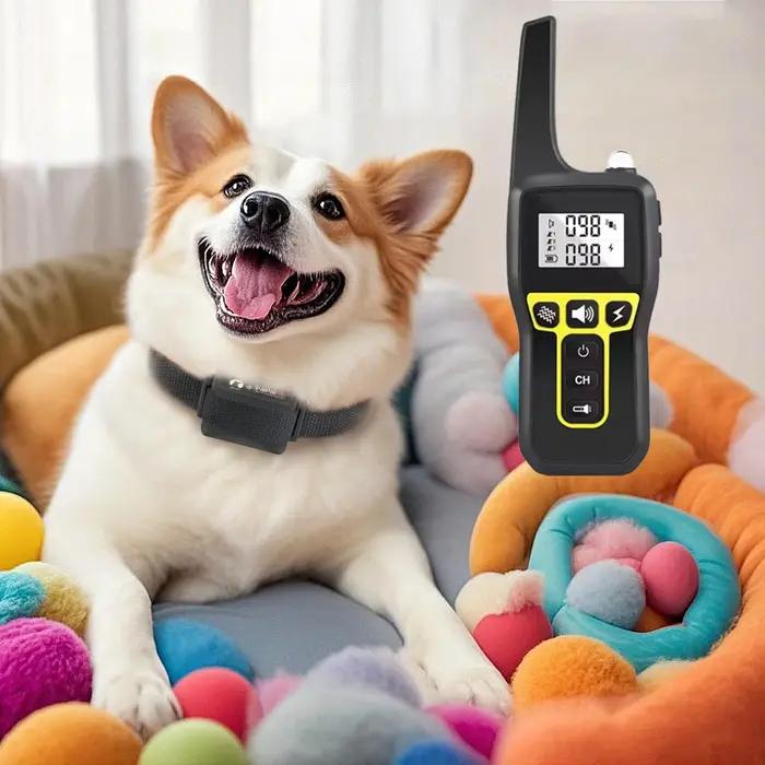 Collier de dressage de chien avec télécommande