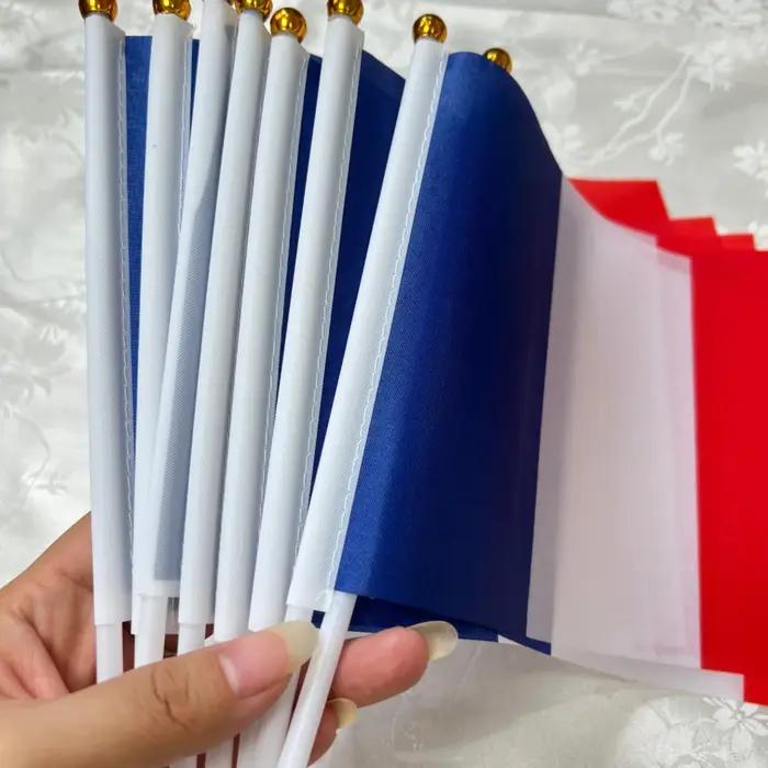 Drapeau à main de la France 14 x 21 cm