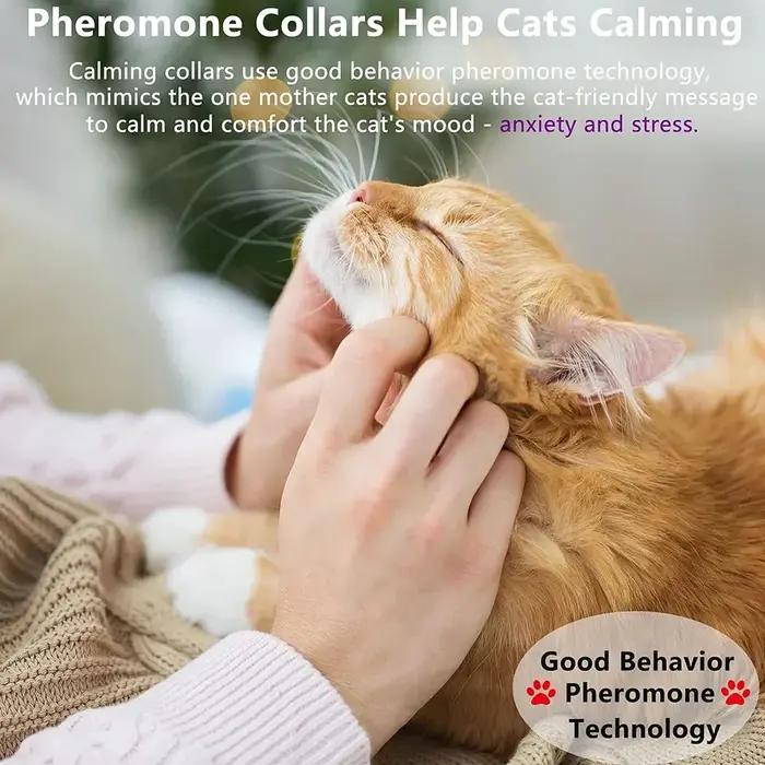 Collier apaisant efficace et sûr pour chats et chiens