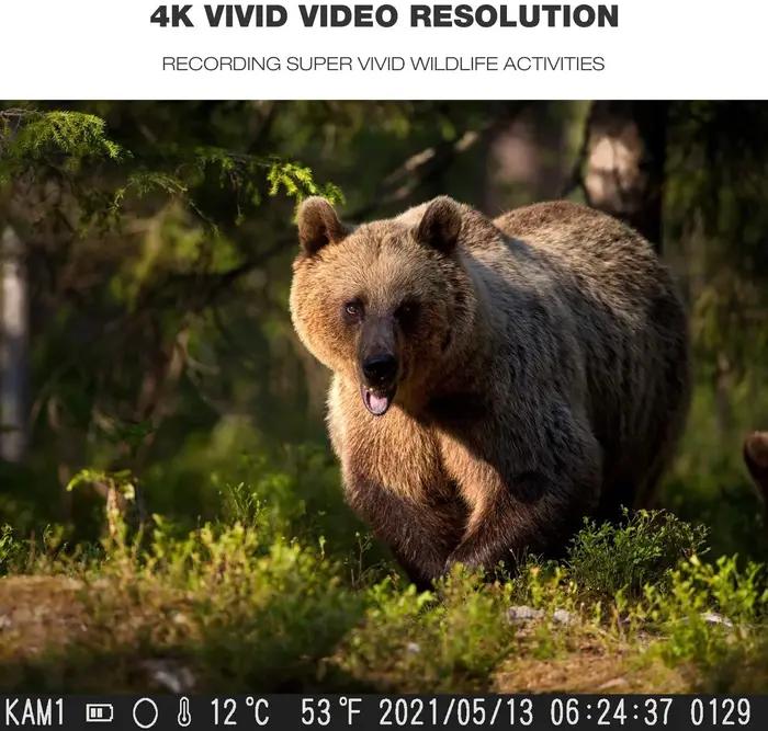 Caméra de chasse 4K pour diffusion en direct