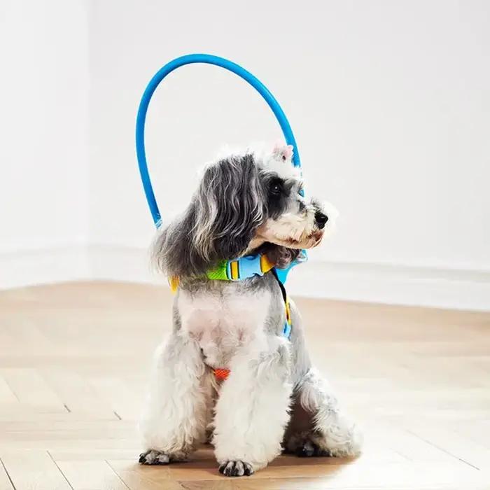 Dispositif de guidage de harnais de cercle anti-collision pour animaux de compagnie 5 tailles pour petits grands chiens B03E