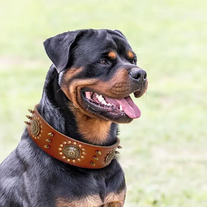 Collier de chien en cuir clouté à pointes réglables