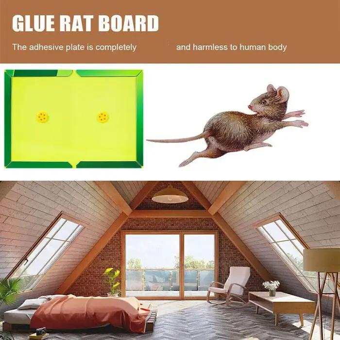 Pièges à souris adhésifs Super puissants