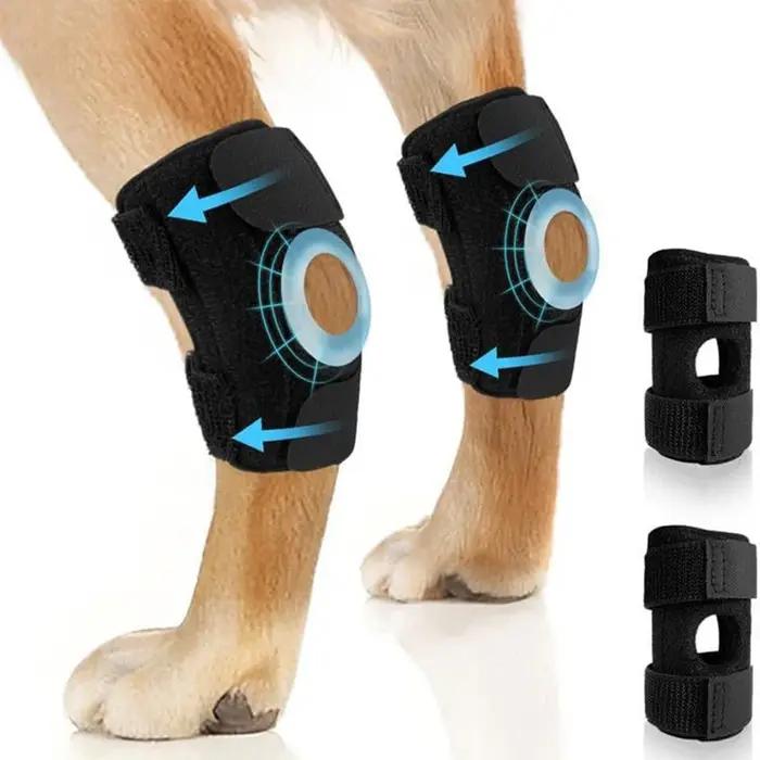 Protège-Genou pour Chien : Bandage de Soutien pour Arthrite