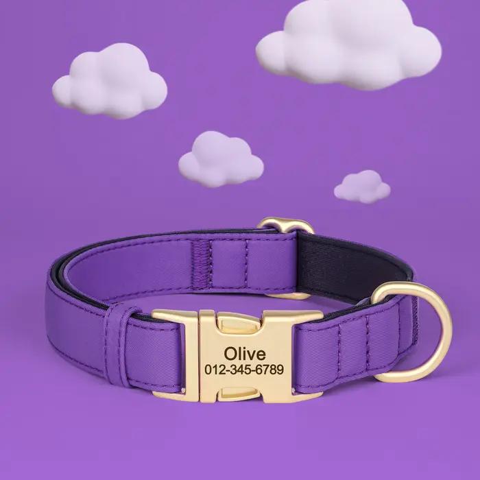 Collier pour chien en nylon 8 couleurs colliers
