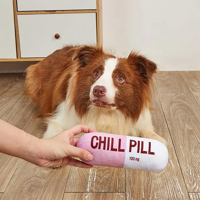 Jouet interactif en forme de pilule en peluche pour chien avec couineur