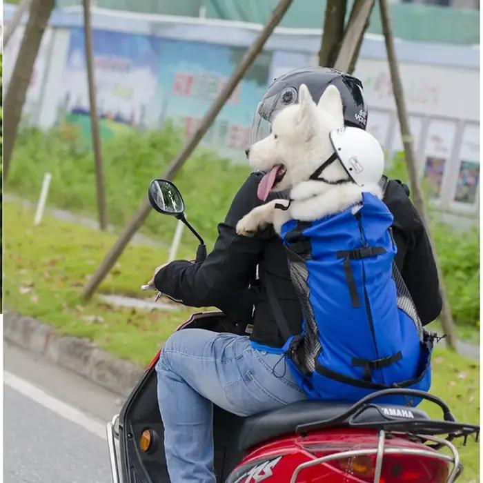 Sac à dos de voyage pour chien