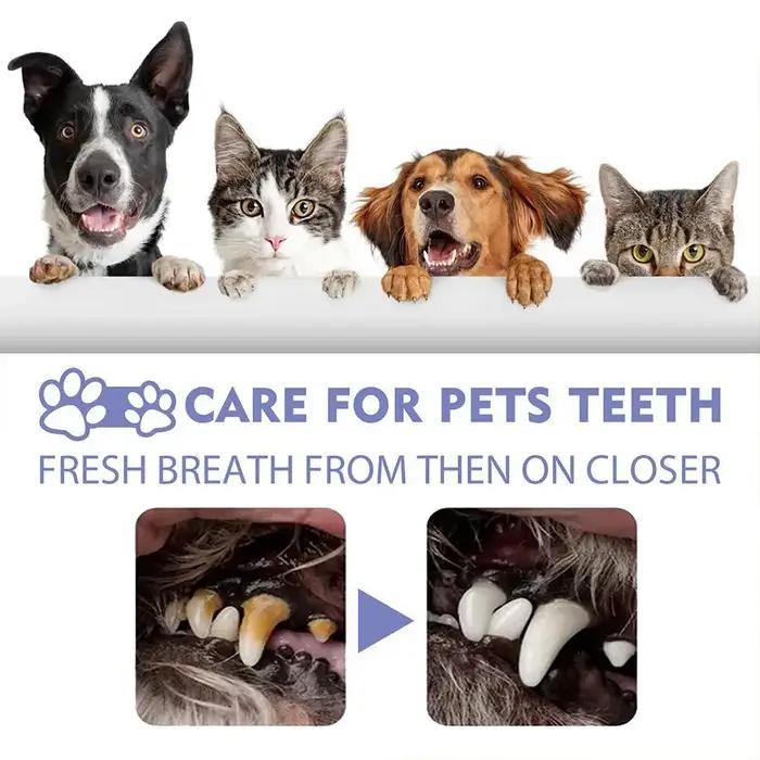 Spray buccal pour chiens soins bucco-dentaires préventifs élimination bactéries haleine fraîche réduction plaque tartre gencives saines usage quotidien occassions spéciales cadeau animaux de compagnie