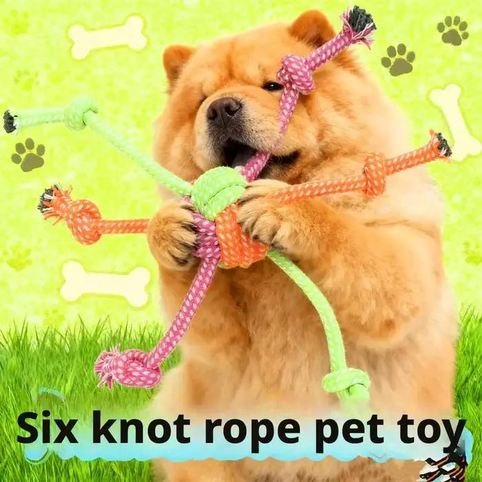 Jouet à nœud interactif Durable et résistant aux morsures pour chiens