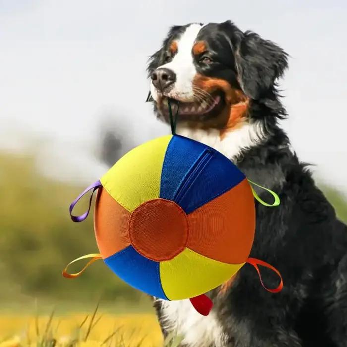 Ballon d'exercice robuste pour chiens