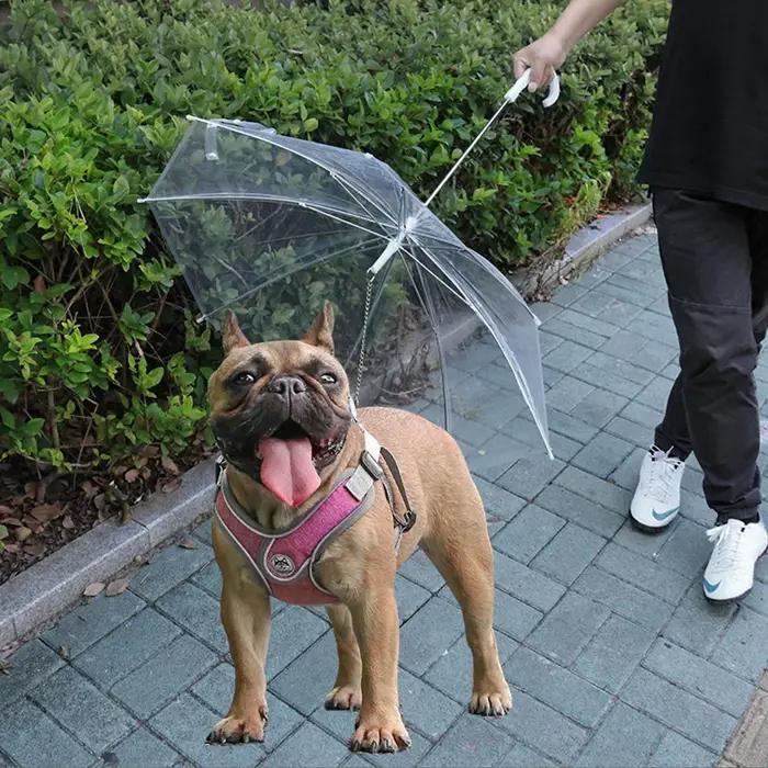 Nouvelle laisse parapluie pour animaux de compagnie