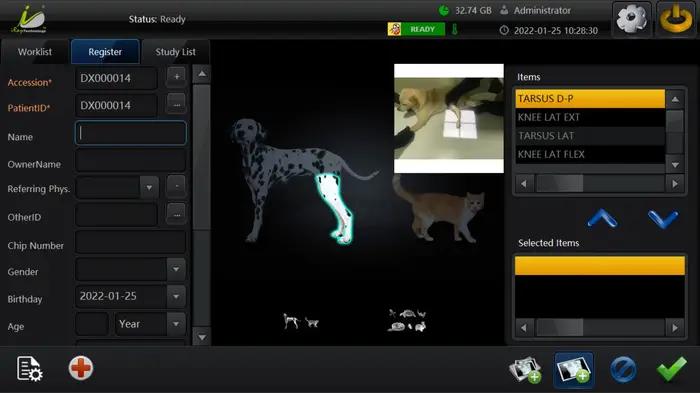Chien chat animal de compagnie X Ray médical