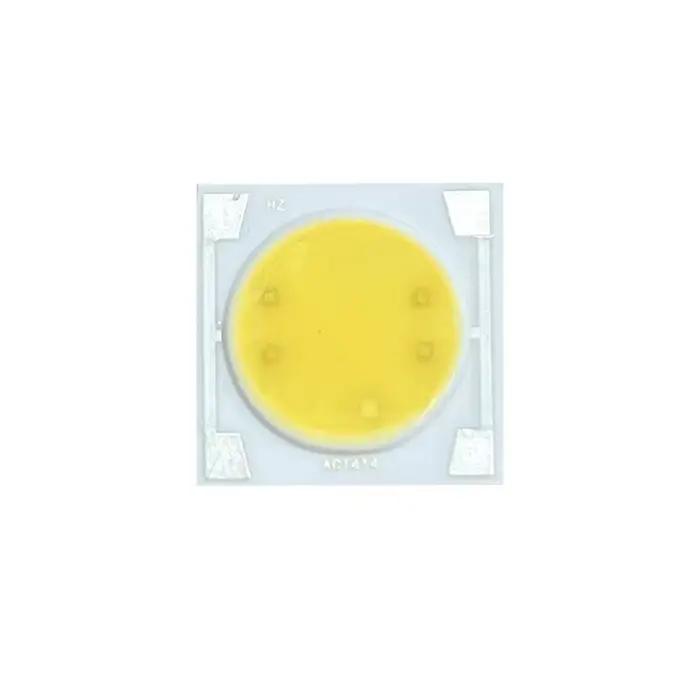 Perles lumineuses LED COB avec support en céramique, puce IC intelligente pour budgétaire extérieur,