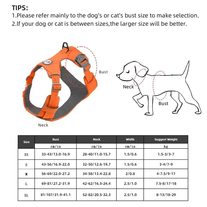 Harnais de sécurité sans traction pour chien de compagnie