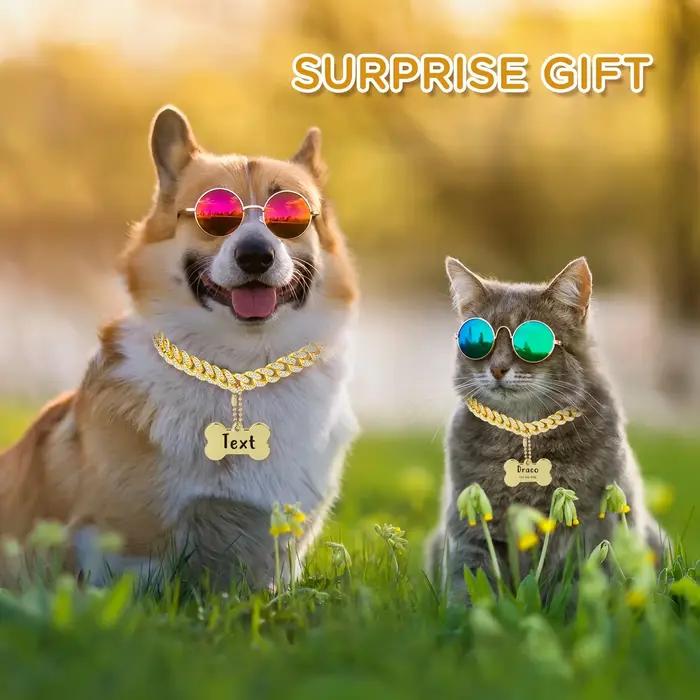 Collier de chien personnalisé en acier inoxydable avec maillons cubiques design moderne pour toutes les saisons et étapes de vie de votre animal de compagnie