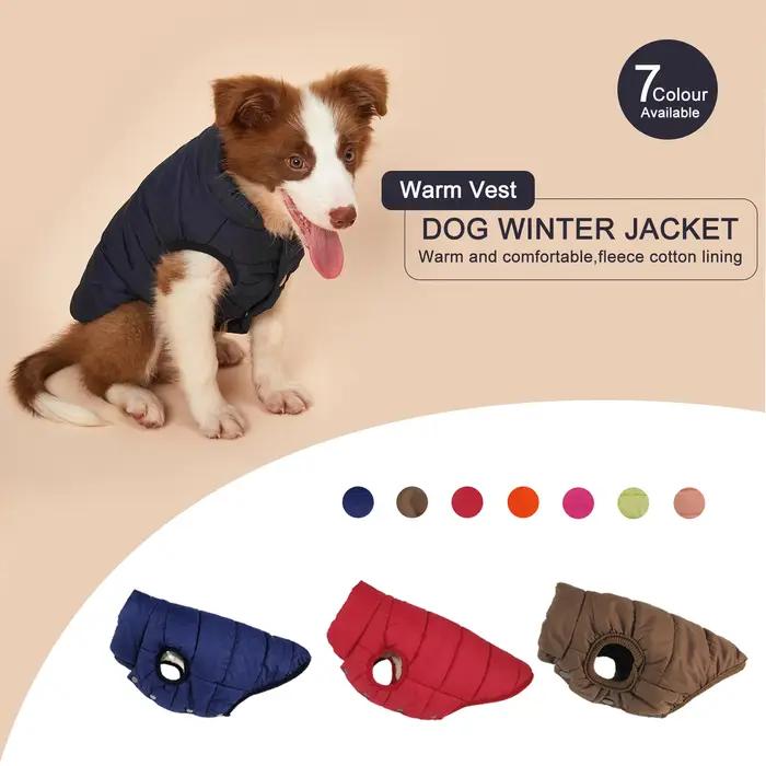 Vêtements d'hiver pour chiens