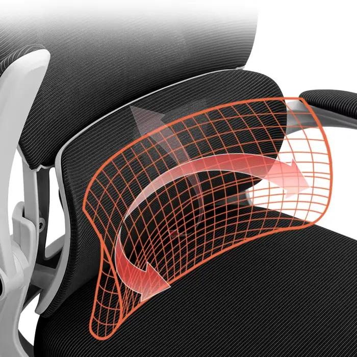 Chaise de bureau ergonomique, chaise de bureau confortable pour étudiants avec Support dorsal, chais