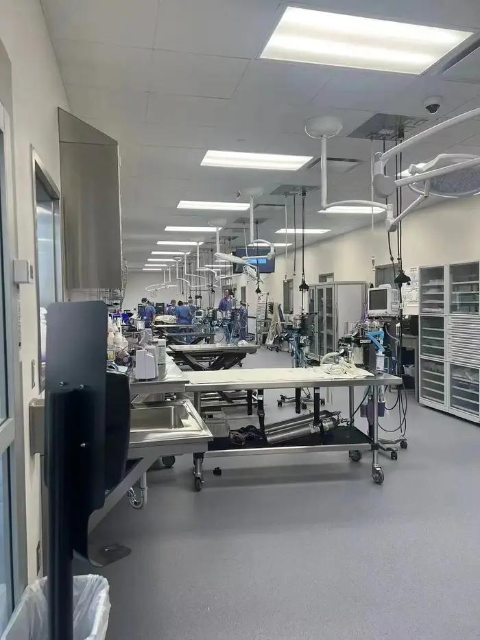 Table d'opération en acier inoxydable 304 pour animaux de compagnie ajustable haute qualité pour soins médicaux vétérinaires occasions spéciales