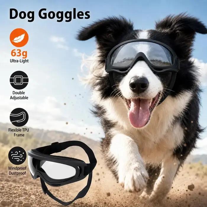 Lunettes de protection pour chiens de taille moyenne et grande