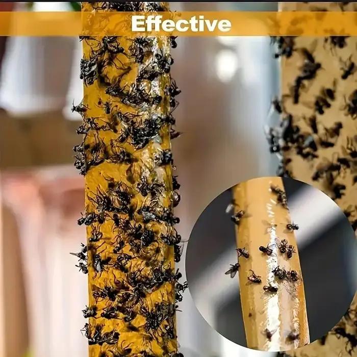 Bandes collantes anti-mouches pour intérieur et extérieur