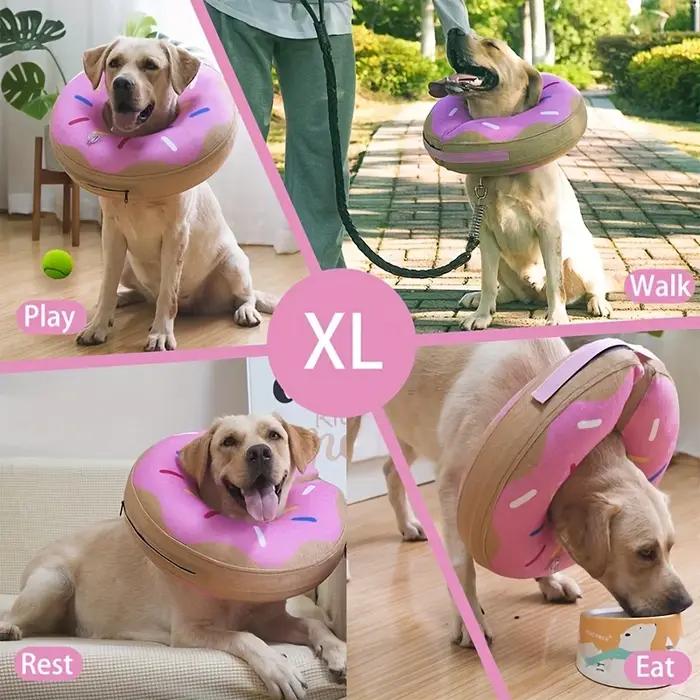 Collier conique gonflable pour chien