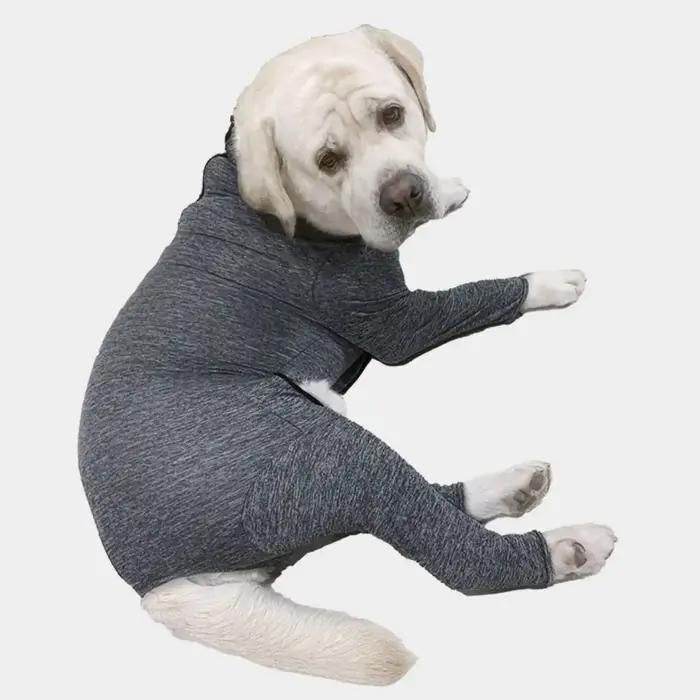 Costume de stérilisation pour animaux de compagnie