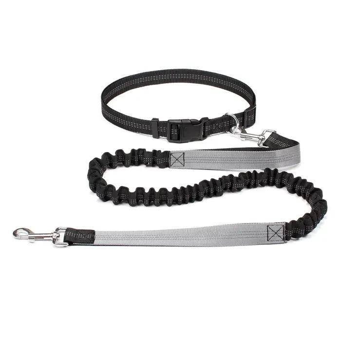 Laisse de chien mains libres pour animaux de compagnie marche course Jogging