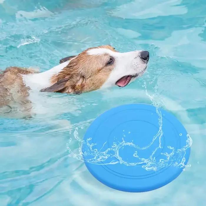Disque volant interactif pour animaux de compagnie