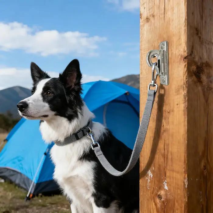 Support mural en acier inoxydable pour laisses de chien et chaînes pour animaux de compagnie