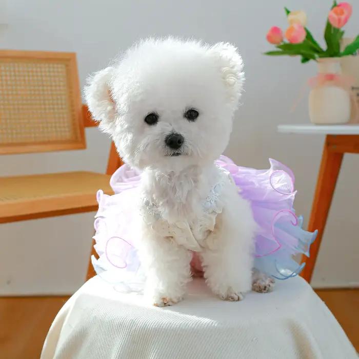 Xingdai rêve gaze jupe vêtements pour animaux de compagnie chiens