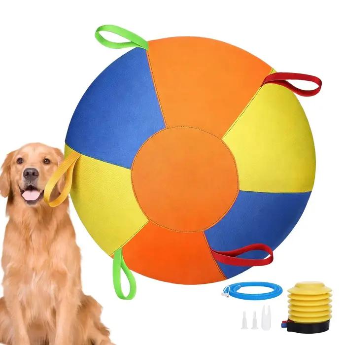 Ballon de dressage pour chiens