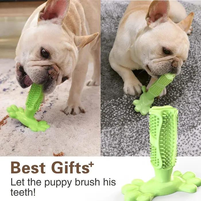 Jouets pour chiens dents à croquer gomme à mâcher mauvaise haleine brossage