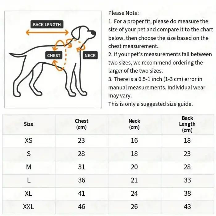Vêtements pour chiens ours de dessin animé