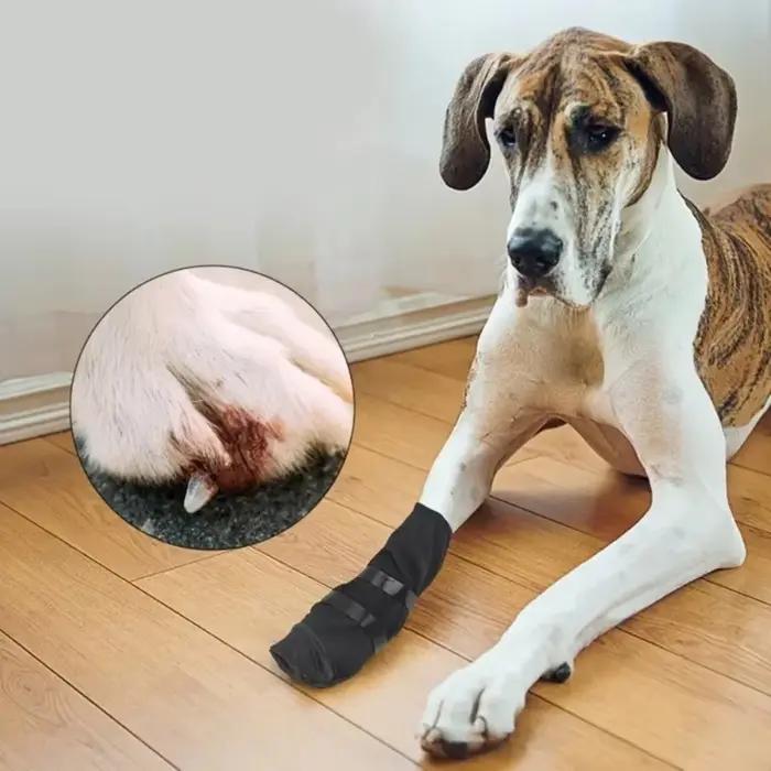Bottes de récupération pour chiens en lin douces et respirantes pour convalescence et protection des pattes occassions spéciales