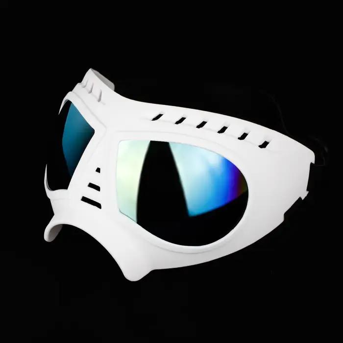 Lunettes pour animaux de compagnie de taille moyenne à grande