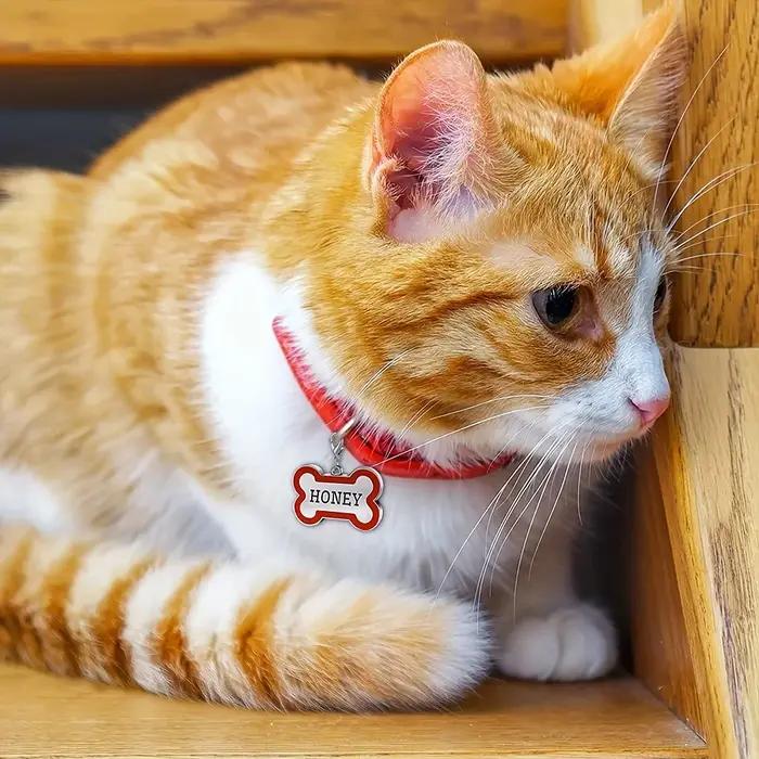 1PC Plaque d'identification personnalisée pour animaux de compagnie