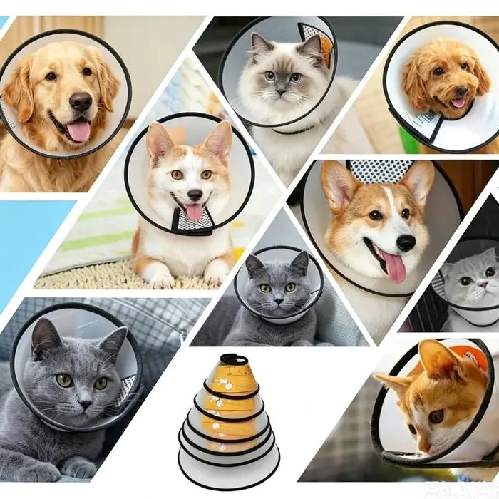 Collier de protection anti-morsure pour chiens et chats