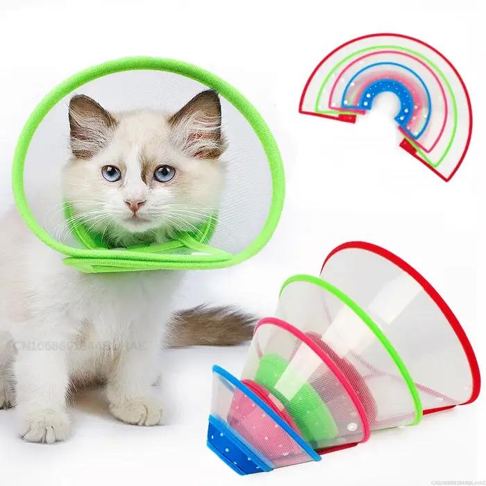 Chirurgie Anti-morsure pour animaux de compagnie