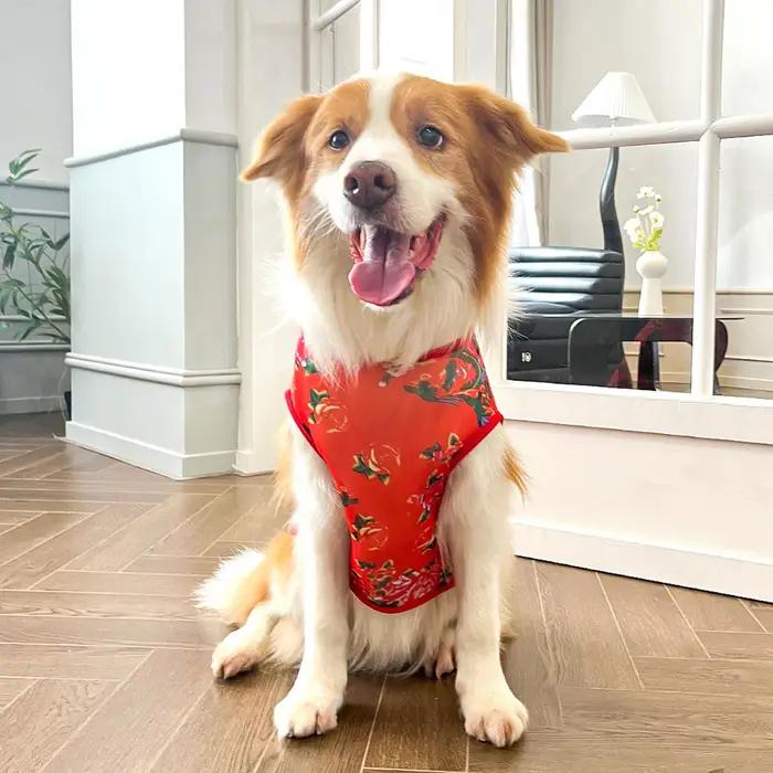 Gilet imprimé pour chien en polyester mignon et confortable pour chiens moyens à grands occasions spéciales et quotidienne