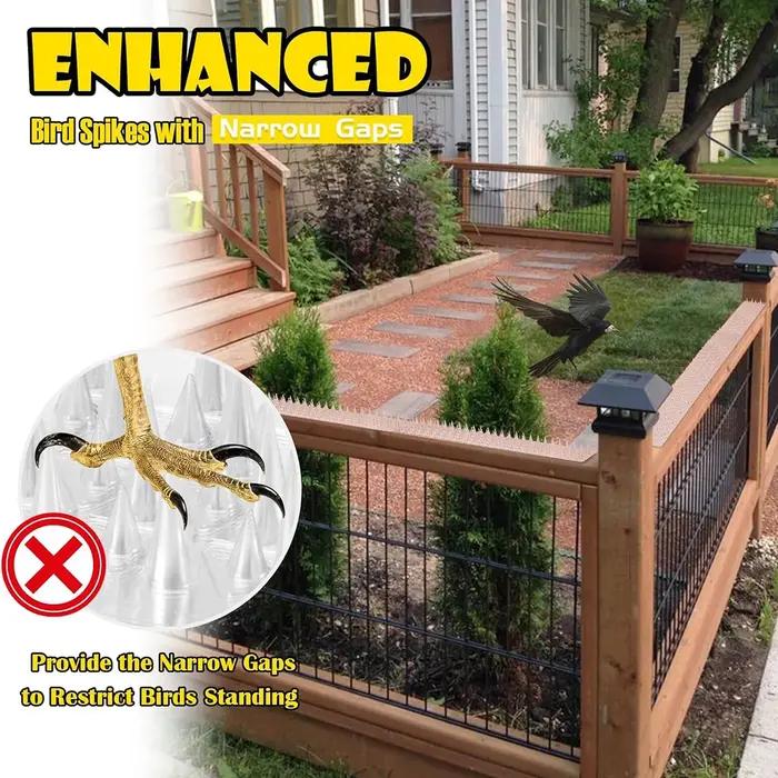 Piques anti-oiseaux et anti-nuisibles pour chats, pigeons, corbeaux et rats, pour extérieur, produits de jardinage