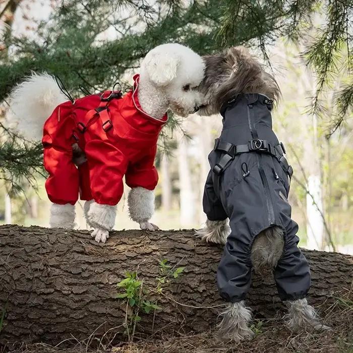 Imperméable pour chien avec harnais – Veste réfléchissante
