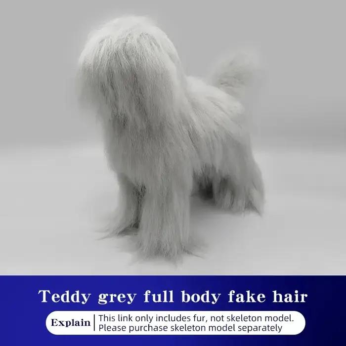 Modèle de chien Teddy pour la simulation de poils d'animaux