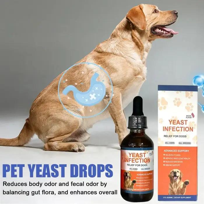 Gouttes de 6 ml pour chiens et chats contre les infections à levures – Complément alimentaire naturel à base de plantes pour soutenir la santé intestinale et le système immunitaire – Facile à administ