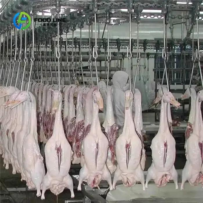Machine d'abattage automatique personnalisée de haute qualité pour petit bétail, ligne de Production