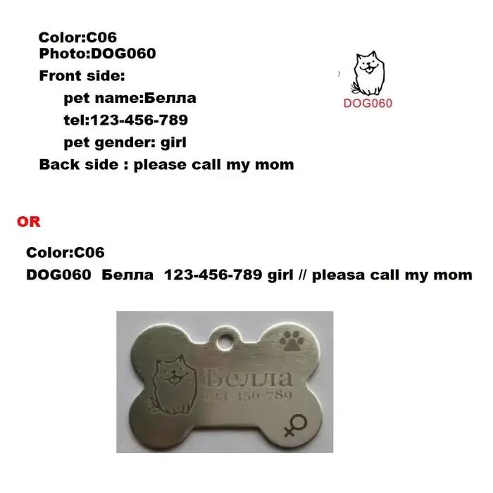Lot de 2 étiquettes d'identification pour collier de chien et chat