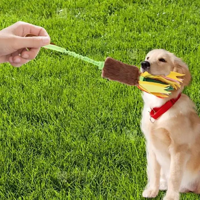 Jouet à mâcher avec élastique pour chien