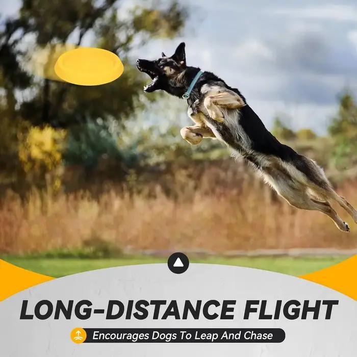 Disques volants durables pour chiens