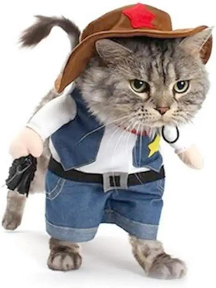 Costume d'halloween drôle pour chien et chat