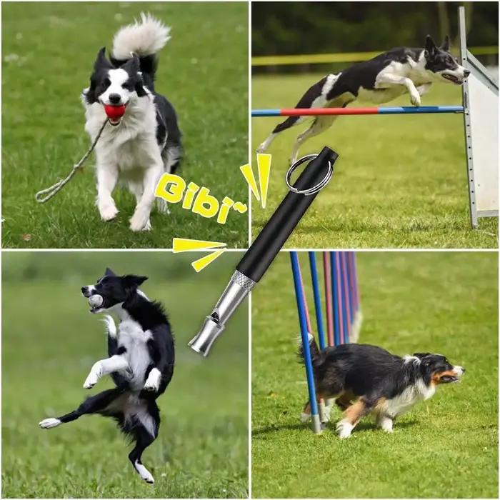 Kit d'entraînement pour chiens avec sonnette pour animaux, corde, flûte et sifflet pour chien, et accessoires d'entraînement pour chevaux et chiens